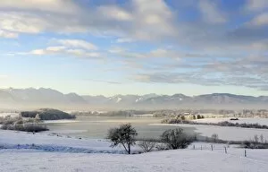 Early morning on Lake Rieg, Pfaffenwinkel, Upper Bavaria, Bavaria, Germany, Europe, PublicGround