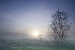 Break Of Dawn Gallery: Early morning mist in the moorland in Floegeln, Lower Saxony, Germany, Europe