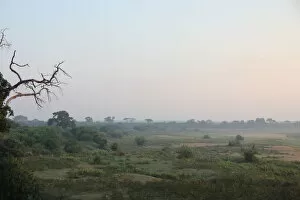 Images Dated 31st May 2018: Early morning mist rising over the floodplain of the Letaba River in the Kruger National