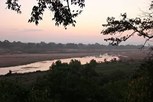 Images Dated 31st May 2018: Early morning mist rising over the floodplain of the Letaba River in the Kruger National