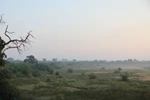 Early morning mist rising over the floodplain of the Letaba River in the Kruger National