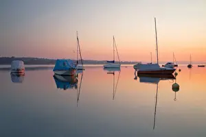 Early morning mood with sailboats in the harbour of Steckborn on Lake Constance, Canton of Thurgau, Switzerland, Europe