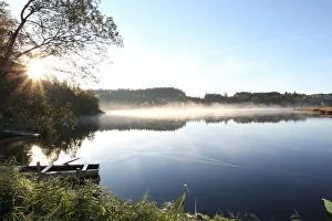 Mist Collection: Early morning on a pond in a marshland, Notzenweiher pond, Oberallgaeu, Allgaeu, Bavaria, Germany
