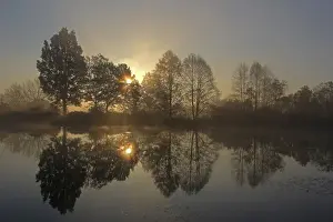 Misty Prints: Early morning, sunrise, pond area