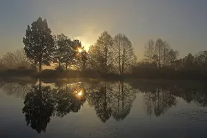 Early morning, sunrise, pond area, trees, November morning, Mittelberg district, Biberach, Upper Swabia