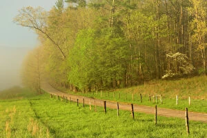 Lush Foliage Collection: Early morning view of Hyatt Lane, Cades Cove, Great Smoky Mountains National Park, Tennessee, USA