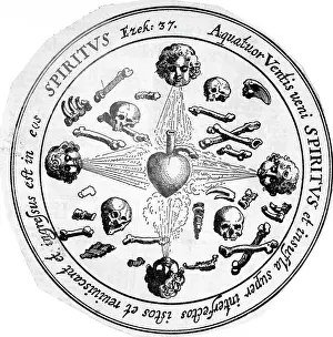 Early Scientific Drawing Of The Heart
