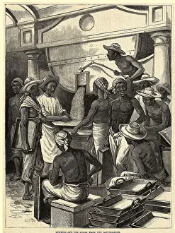 Early Woodcut of Cuba's Sugar Industry Workers