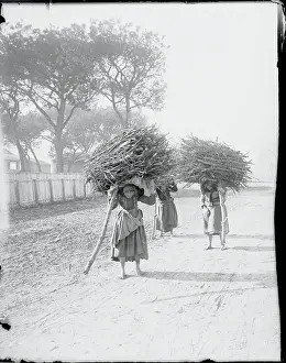 Pisa Prints: Early Workers Carrying Wood Scraps on Their Backs