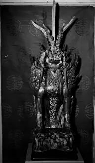 Spirit Prints: Earth Spirit