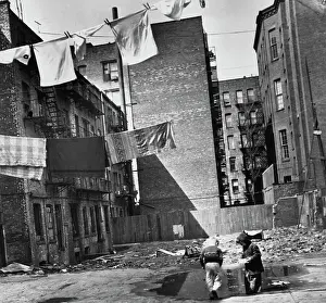 Huty28223 Prints: East Eighth Street Rear Yards, 1954