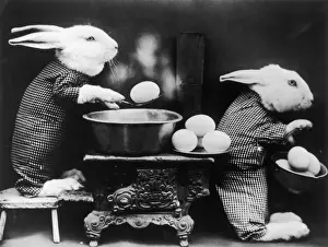 Prints of Two stuffed rabbits boiling eggs, circa 1930. (Photo by FPG/Hulton Archive/Getty Images) Black and White Images Capturing the Essence of Mid-20th Century: Easter Bunnies