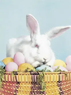 Fluffy Prints: Easter bunny