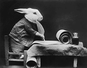 Images Dated 24th October 2007: Easter Bunny At Work