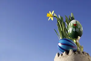 Live Prints: Easter decorations, daffodils and Easter eggs
