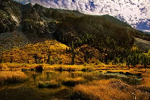 Quan Yuan Landscapes Collection: Eastern Sierra Fall Color