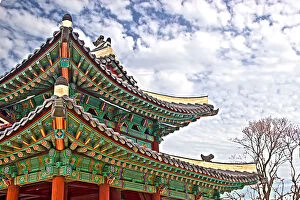 Images Dated 9th September 2014: Eaves of Korea