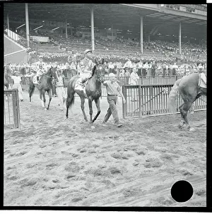 Eddie Arcaro Entering Race Track