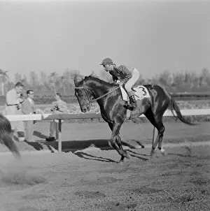 Eddie Arcaro Riding Horse Bold Ruler