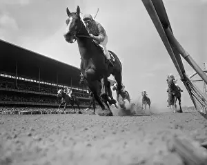 Jockey Prints: Eddie Arcaro Winning Race on Sercial