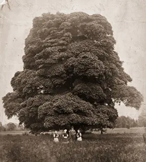 Edgeworthstown