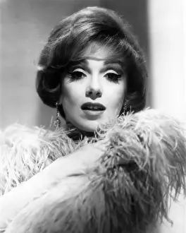 Acr058424 Prints: Edie Adams