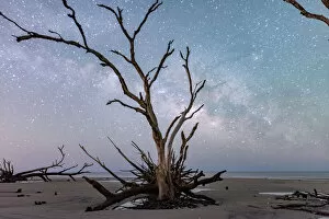 Images Dated 17th April 2018: Edisto Island Milky Way