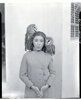 Edith Fellowes and Owls