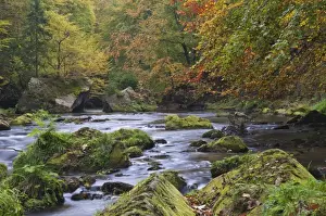 Edmundova Soutěska gorge, Kamenice river, autumn, Bohemian Switzerland, Czech Republic, Europe