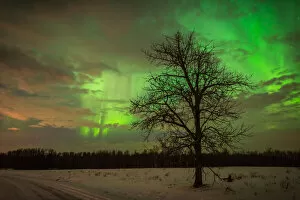 Images Dated 9th November 2013: Eerie Aurora