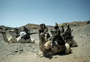 EGYPTIAN ARMY