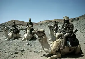 EGYPTIAN ARMY