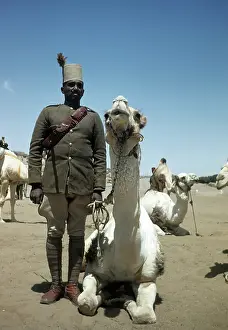 EGYPTIAN ARMY