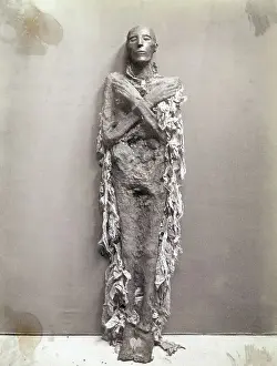 Mummy Prints: Egyptian Mummy