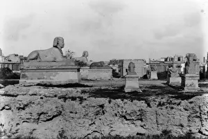 Sphinx Prints: Egyptian Sphinx