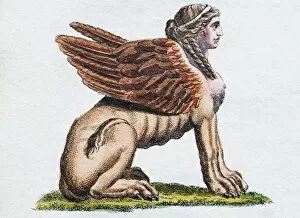 Images Dated 3rd July 2017: Egyptian Sphinx, handcoloured copper engraving from Friedrich Justin Bertuch Picture