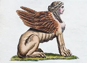 Animal Like Prints: Egyptian Sphinx, handcoloured copper engraving from Friedrich Justin Bertuch Picture