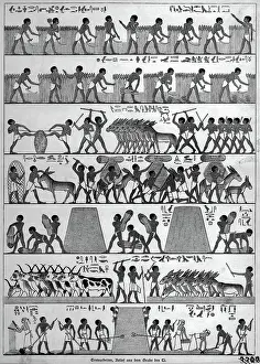 Grain Prints: Egyptian Workers Harvesting Grain