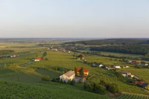 Images Dated 7th June 2014: Eisenberg vineyard, Eisenberg an der Pinka, Southern Burgenland, Burgenland, Austria