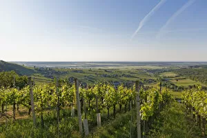 Images Dated 6th June 2014: Eisenberg vineyard, Eisenberg an der Pinka, quaint wine growing region, Southern Burgenland
