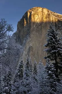Werner Van Steen Photography Gallery: El Capitan at sunrise, Yosemite National Park