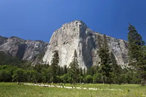 Yosemite National Park Prints: El Capitan in Yosemite National Park