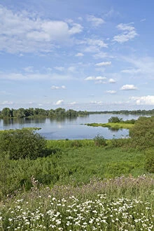 Images Dated 27th July 2011: Elbe River near Hitzacker, Elbhoehen-Wendland Nature Park, Lower Saxony, Germany, Europe