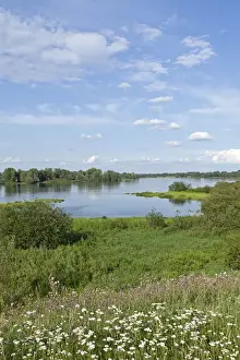 Elbe Prints: Elbe River near Hitzacker, Elbhoehen-Wendland Nature Park, Lower Saxony, Germany, Europe