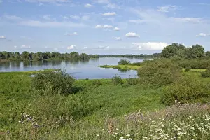 Shore Prints: Elbe River near Hitzacker, Elbhoehen-Wendland Nature Park, Lower Saxony, Germany, Europe