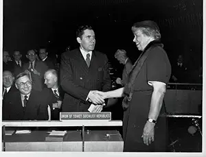 Eleanor Roosevelt and Andrei Gromyko