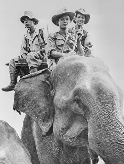 Elephant Carrying Cambodian Soldiers