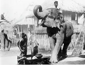 Burma Prints: Elephant Coming To Quench Its Thirst In Burma