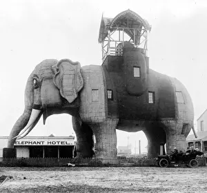 Elephant Hotel