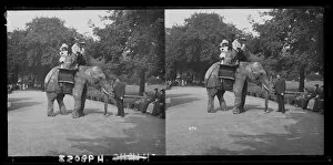 Images Dated 17th February 2014: Elephant RIde
